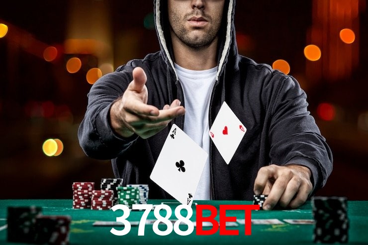 3788bet,3788bet.com
