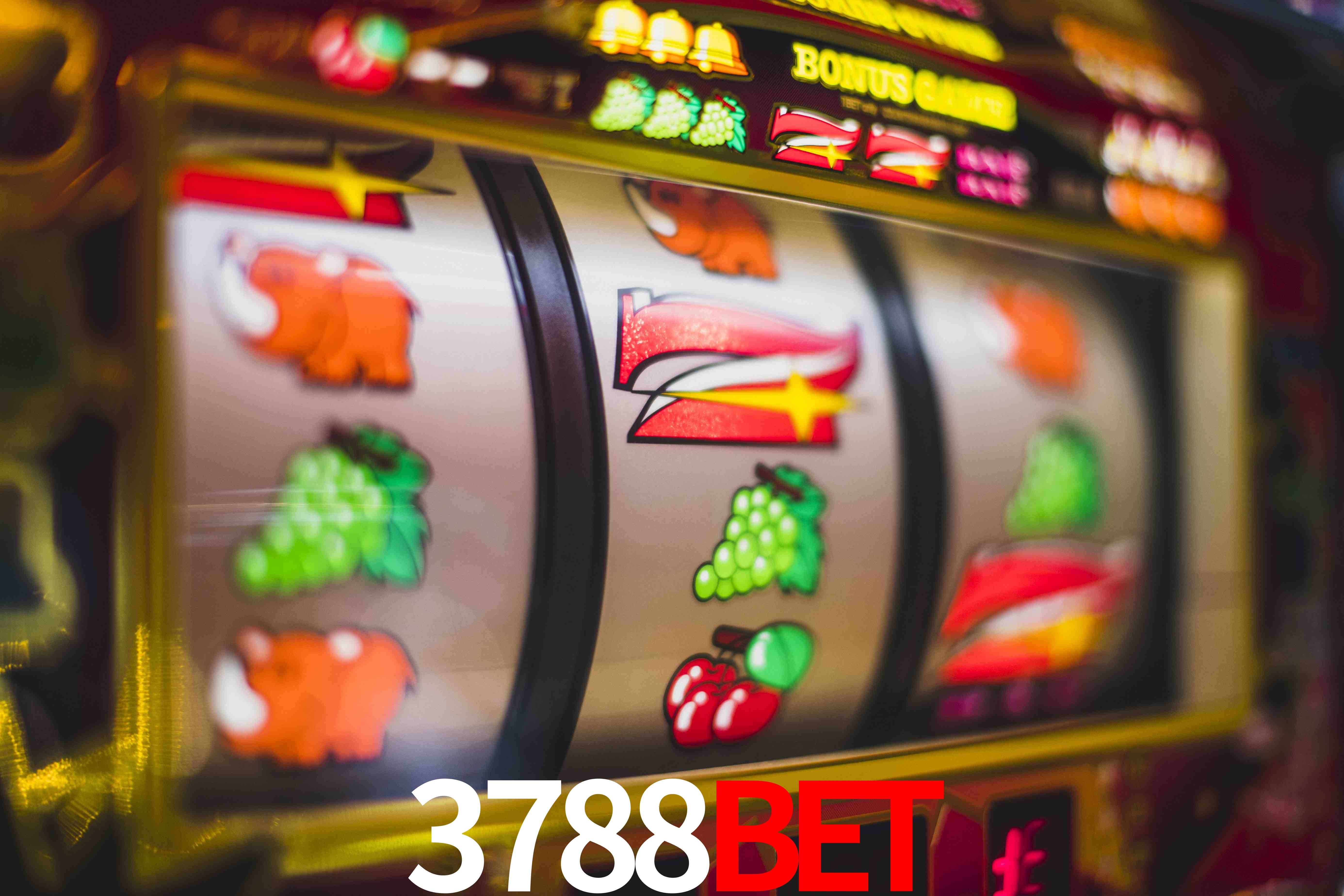 Crash Games Statistics 3788bet